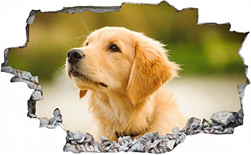 Wandtattoo Golden Retriever Hund Wandsticker Wandaufkleber 3D-Effekt Durchbruch für Babyzimmer Kinderzimmer 80x120cm von Linyuan