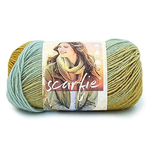 (1 Knäuel) Lion Brand Garn Scarfie Bulky Yarn, Ice/Gold von Lion Brand Yarn