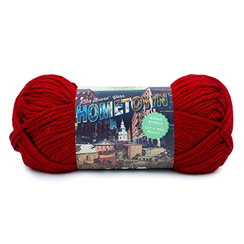 Lion Brand Yarn 133-114 Hometown Bonus Bundle Garn, Acryl, Tampa Spice, 1 Pack, 284 Gramm von Lion Brand Yarn