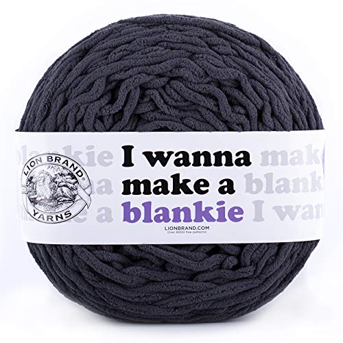 Lion Brand Yarn 532-152 Wanna Make a Blankie Garn, Eisen von Lion Brand Yarn