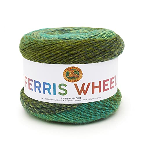 Lion Brand Yarn Company 217-603 Ferris Wheel Garn, Evergreen, One Skein von Lion Brand Yarn