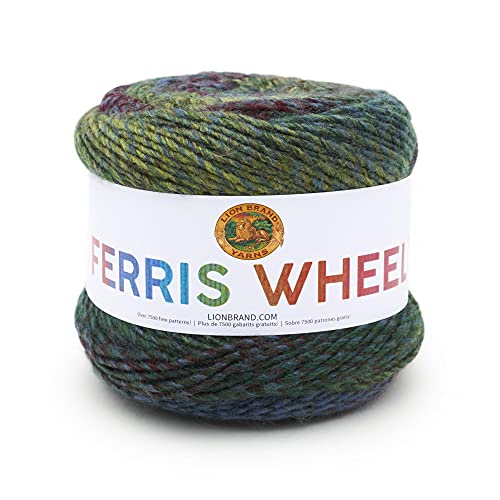 Lion Brand Yarn Company 217-608 Ferris Wheel Garn, Imaginary Garde, One Knäuel von Lion Brand Yarn