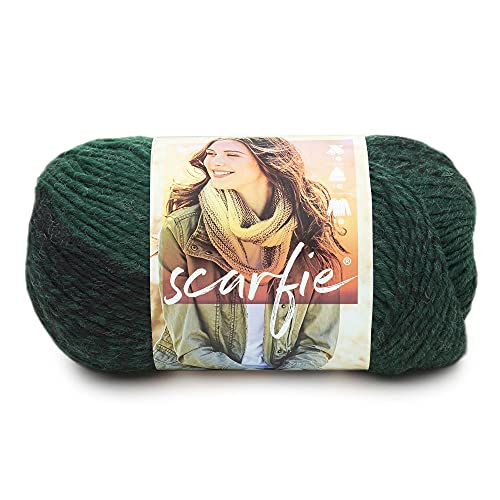 Lion Brand Yarn 826-202, Scarfie-Garn, Wald/Schwarz, Acryl Wolle, 23.59 x 12.79 x 13.43 cm, 285 von Lion Brand Yarn