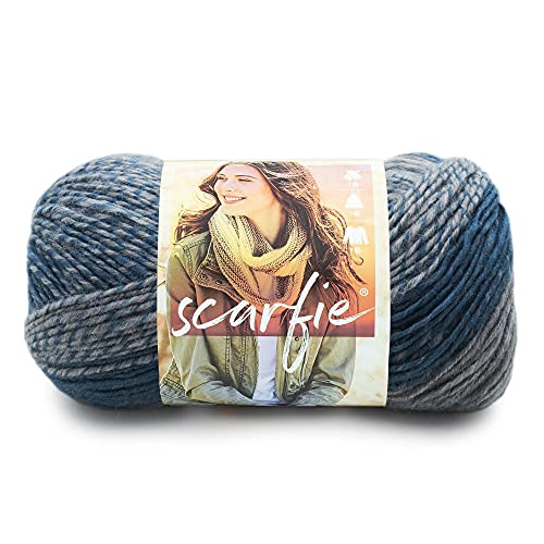 Lion Brand Scarfie Yarn-Teal & Silver 826-218 von Lion Brand Yarn