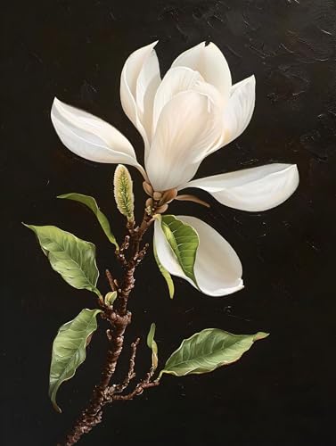 Malen Nach Zahlen Erwachsene Magnolienblüten Malen Nach Zahlen Rahmenlos DIY Ölgemälde Leinwand Set Mit 3 Pinsel und Acrylpigment, Anfänger Paint by Numbers, für Deko, Weihnachten Gesch 50x70cm L-596 von Lionhai