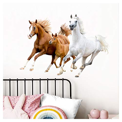 Little Deco Wandaufkleber Pferde I M - 55 x 38 cm (BxH) I Wandsticker Pony Wandtattoo Mädchen Kinderzimmer Deko Bild Sticker Ross Aufkleber Rösser DL475 von Little Deco