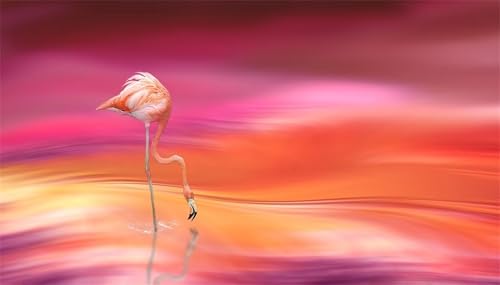 Flamingo Diamond Painting Set,5D Groß Diamant Painting Bilder für Erwachsene DIY Vierkant Diamant Kunst Malerei Abstrakte Fantasie Full Stickerei Kreuzstich Bilder für Wohnzimmer Dekor 70x140cm von Lituor