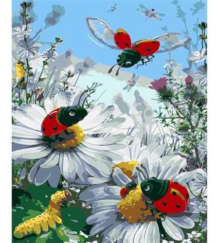 Gänseblümchen Marienkäfer Insekten Malen nach Zahlen für Erwachsene,DIY Handgemalt Ölgemälde-Set auf Leinwand mit Pinseln und Acrylpigment für Anfänger Kunst für Heimdekor Geschenk mit Rahmen,40x50cm von Lituor