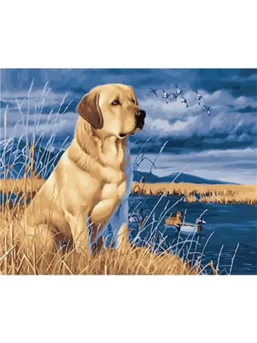 Labrador-Hund Malen nach Zahlen Erwachsene DIY Handgemalt Ölgemälde Leinwand Kits für Kinder Anfänger mit Pinseln und Acryl Pigment Kunstbilder Heimdekoration Geschenk 40x50cm(ohne Rahmen) von Lituor