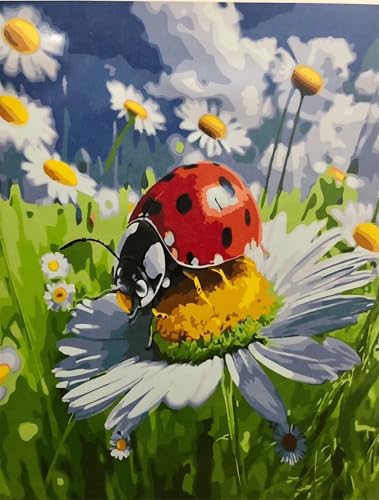 Malen nach Zahlen Erwachsene,Gänseblümchen Marienkäfer Malen Nach Zahlen Set Kinder Anfänger DIY Ölgemälde Kits auf Leinwand mit Pinseln und Acrylpigment ohne Rahmen für Home Wall Decor 30x40cm von Lituor