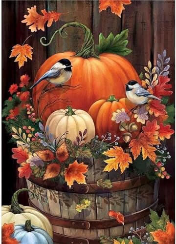 Malen nach Zahlen Erwachsene,Herbstlicher Kürbisvogel Malen Nach Zahlen für Kinder Anfänger DIY Digital Ölgemälde Kits mit Pinseln und Acryl Pigment ohne Rahmen für Home Wall Decor 40x50cm von Lituor