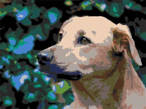 Malen nach Zahlen Erwachsene,Hund Tier Malen Nach Zahlen Set für Kinder Anfänger DIY Digital Ölgemälde Kits auf Leinwand mit Pinseln und Acrylpigment ohne Rahmen für Home Wall Decor 50x65cm von Lituor