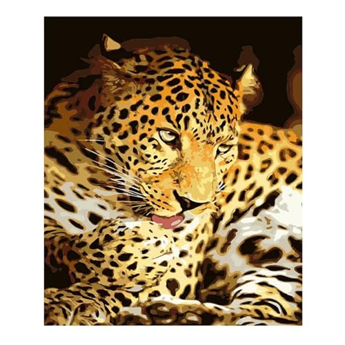 Malen nach Zahlen Erwachsene,Leopard Malen Nach Zahlen Set für Kinder Anfänger DIY Digital Ölgemälde Kits auf Leinwand mit Pinseln und Acrylpigment ohne Rahmen für Home Wall Decor 50x65cm von Lituor