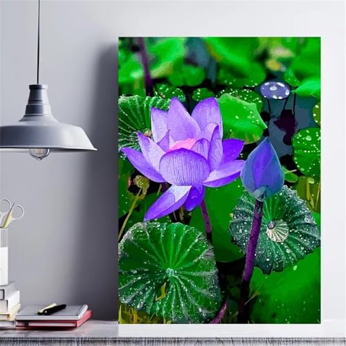 Malen nach Zahlen Erwachsene,Pflanzen Lotus Malen Nach Zahlen Set für Kinder Anfänger DIY Digital Ölgemälde Kits auf Leinwand mit Pinseln und Acrylpigment ohne Rahmen für Home Wall Decor 55x70cm von Lituor