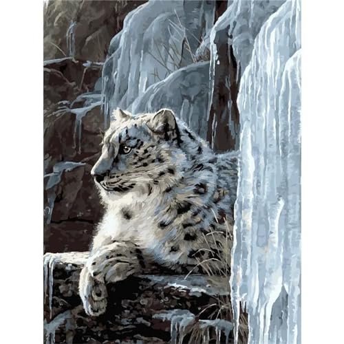 Malen nach Zahlen Erwachsene,Schneeleopard Malen Nach Zahlen Set für Kinder Anfänger DIY Digital Ölgemälde Kits auf Leinwand mit Pinseln und Acryl Pigment mit Rahmen für Home Wall Decor 60x75cm von Lituor