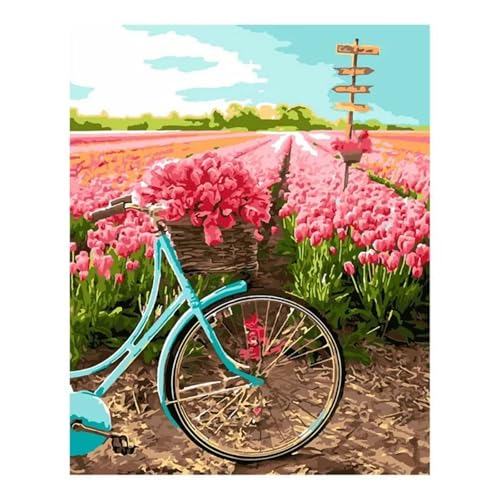 Malen nach Zahlen Erwachsene,Tulpenfeld-Fahrrad Malen Nach Zahlen Set für Kinder Anfänger DIY Digital Ölgemälde Kits auf Leinwand mit Pinseln und Acrylpigment ohne Rahmen für Home Wall Decor 50x65cm von Lituor