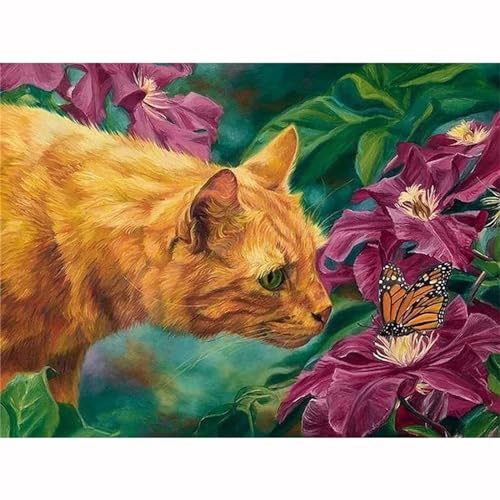 Rote Blumen Katze Malen nach Zahlen Erwachsene,DIY Handgemalt Ölgemälde Leinwand Kits für Kinder Anfänger mit Pinseln und Acrylpigment Kunstbild Heimdekoration Geschenk 50x65cm,(mit rahmen) von Lituor