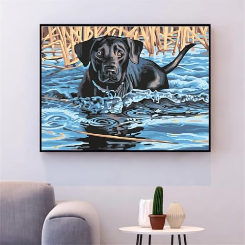 Schwimmender Hund Malen nach Zahlen für Erwachsene,DIY Handgemalt Ölgemälde-Set auf Leinwand mit Pinseln und Acrylpigment für Kinder Anfänger Kunst für Heimdekoration Geschenk,mit rahmen 60x75cm von Lituor