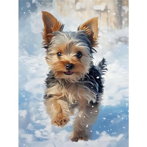 Yorkie-Hund Diamond Painting Erwachsene Kits,Vierkant DIY 5D Diamond Painting Bilder,Strass Kunst Mosaik Kits Malen Nach Zahlen Voll Cross Stickerei Malerei Kits für Home Wand Décor 50x80 cm von Lituor