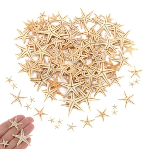 Scrapbooking Stamping, Sea s für natürliche Dekoration Sea Star Sea Beach Natural Crafts Sea Star Diy Beach Hochzeitdekoration Epoxidharz Kunsthandwerk 1-5cm von Liummrcy