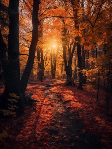 Diamond Painting Wald Landschaft Diamant Painting Bilder 5D Diamond Kunst Malerei Kristall Kunst Basteln Set, Geeignet Erwachsene Kinder Entspannung, für Geschenk Zuhause Wanddekoration 45x60cm b-906 Diamond Painting Wald Landschaft Diamant Painting Bilder 5D Diamond Kunst Malerei Kristall Kunst Basteln Set, Geeignet Erwachsene Kinder Entspannung, für Geschenk Zuhause Wanddekoration 45x60cm b-906 von Liutuedy