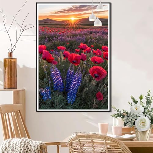 Malen Nach Zahlen Erwachsene Blume,Malen Nach Zahlen Sonnenaufgang,Paint by Numbers ab 7 Jahre Mädchen DIY Handgemaltes Ölgemälde,Bastelset Erwachsene für Wanddeko Geschenk Ohne Rahmen 30x40cm L8-241 von Lixfagng