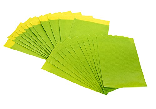 Logbuch-Verlag 100 kleine grüne Papier Mini-Tüten 7 x 9 cm Papiertüte flach LIMONE APFELGRÜN Verpackung give-away giftgrün von Logbuch-Verlag