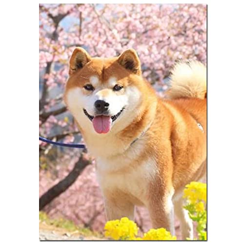 5D Diamant Painting Nach Zahlen Kits, Japanischer Akita Hund 30x40cm Diamond Painting Bilder Vollbohrer Kristall Strass Stickerei Mosaik Gemälde für Erwachsene Anfänger für Wall Decoration Geschenk von Lojinny