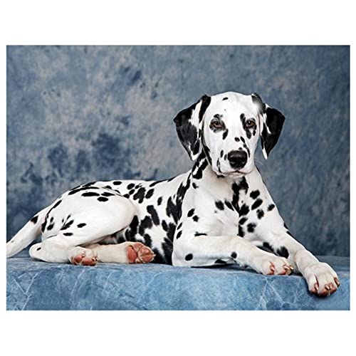 Lojinny 5D Diamond Painting Kits for Adults, Dalmatiner Hund 40x50cm DIY Diamant Painting Bilder Full Drill Embroidery Pictures Arts by Number Kits Diamond Painting Kits for Home Wall Decor (16x20in) von Lojinny