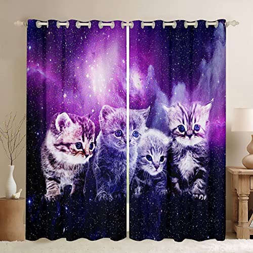 Katzen-Fenstervorhänge Mädchen süßes Haustier Katzen Vorhänge Galaxie Kawaii-Kätzchen Weltraum Fenstervorhänge für Schlafzimmer, Wohnzimmer Kinder Jungen 3D-Tier-Thema Fensterbehandlungen 175x140cm von Loussiesd