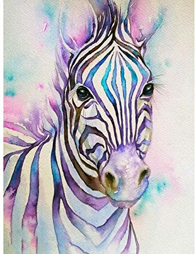 Lsdakoop Malen nach Zahlen Kits für Erwachsene und Kinder Kunst Tier Zebra DIY Digitales Ölgemälde Geschenk-Kits Vorgedruckte Leinwand Kunst Dekoration -16 * 20 Zoll Rahmenlose TB36 von Lsdakoop