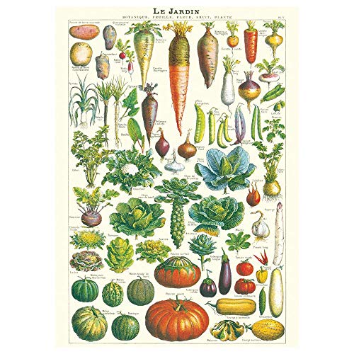 Luck and Luck Cavallini Le Jardin Garden Geschenkpapier / Poster von Luck and Luck