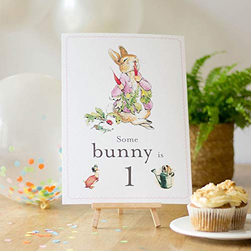 Luck and Luck Flopsy Rabbit Some Bunny is 1 Karte Staffelei Peter Rabbit Geburtstag 1. Geburtstag Luck and Luck Flopsy Rabbit Some Bunny is 1 Karte Staffelei Peter Rabbit Geburtstag 1. Geburtstag von Luck and Luck
