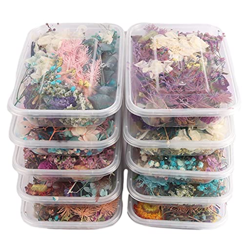 Luckxing 1 Box Getrocknete Blumen Set NatüRliche Getrocknete Blumen Gepresste Blumen Gemischte Getrocknete BläTter Bunt Echt Trocken Blume Dried Flowers Set Für Basteln & Epoxidharz Zubehör von Luckxing