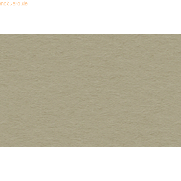 25 x Ludwig Bähr Tonpapier 130g/qm 70x100cm taupe von Ludwig Bähr