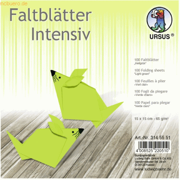 Ludwig Bähr Faltblätter Intensiv Uni 15x15cm VE=100 Blatt hellgrün von Ludwig Bähr