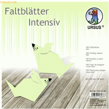 Ludwig Bähr Faltblätter Intensiv Uni 20x20cm VE=100 Blatt mint von Ludwig Bähr