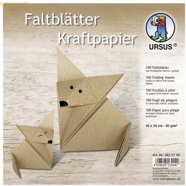 Ludwig Bähr Faltblätter Kraftpapier 80g/qm 20x20cm VE=100 Blatt von Ludwig Bähr