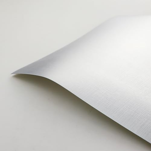 50 Blatt Struktur-Karton Tonkarton Silber, DIN A4 Bastelkarton, 250 g/㎡, Farbiges Papier für Scrapbooking, Kartenherstellung, Stanzen und andere Papierbasteleien von Luffy