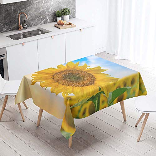 Lukery Tischdecke Outdoor Rechteckig Abwaschbar, Sonnenblumedruck Tischdecke Abwaschbar, Fleckschutz Gartentischdecke für Küche, Esstisch, Parteien (Sonnenblume 4,140x140cm) von Lukery