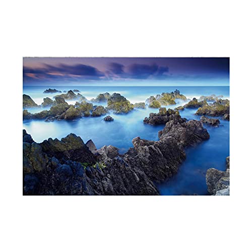 Meer Bild auf Leinwand,Madeira Islands Felsen Natur Meer Landschaftsbilder auf Leinwand,Panoramabild auf Leinwand,Gemälde und Poster für Wohnzimmer Wanddekoration 60x90cm(24x36in) Rahmenlos von Luluart