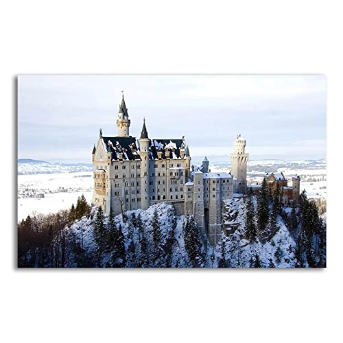 Panorama Gemälde Druck auf Leinwand,Schloss Neuschwanstein im Winter,Gebäude Gemälde Landschaft Poster und Drucke,Stadt Leinwandbild für Wohnzimmer Dekoration 30x50cm Rahmenlos von Luluart