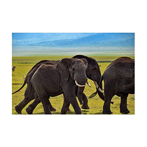 Tier Gemälde Druck auf Leinwand,Afrikanischer Grasland Elefant,Landschaftsbilder auf Leinwand,Leinwandbild Kunstdruck auf Leinwand,Moderne Wohnkultur Kunstwerk Poster 30x45cm(12x18in) Rahmenlos von Luluart