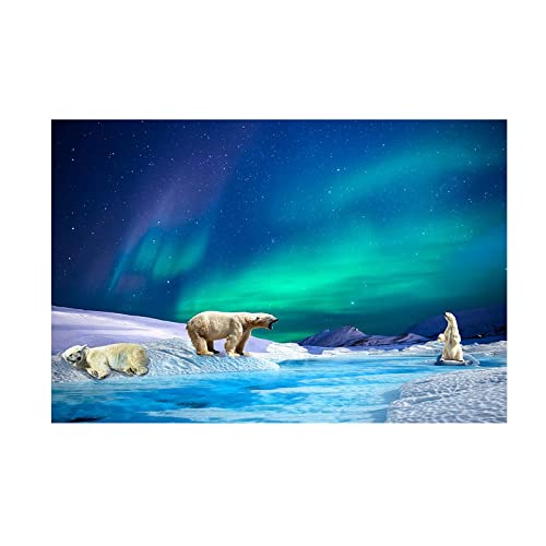 Tier Gemälde Druck auf Leinwand,Nordlichter Gletscher Eisbär,Landschaftsbilder auf Leinwand,Leinwandbild Kunstdruck auf Leinwand,Moderne Wohnkultur Kunstwerk Poster 70x105cm Rahmenlos von Luluart