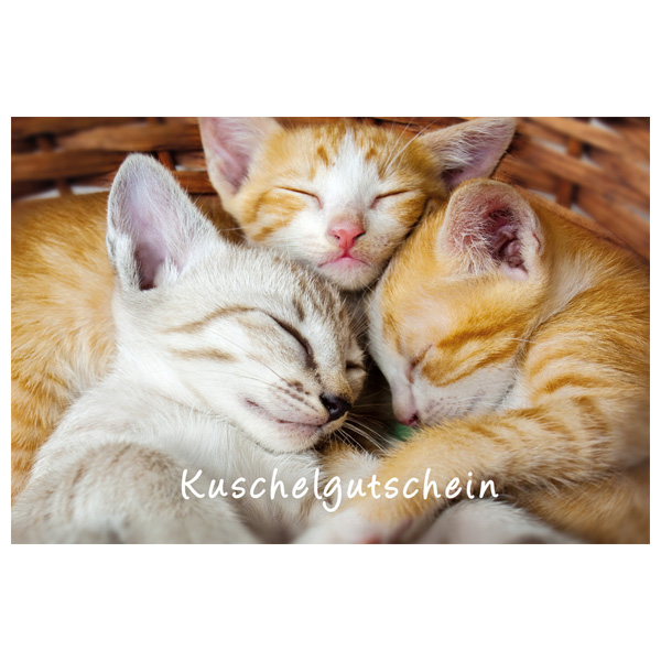 Postkarte "Kuschelgutschein" mit Katzenmotiv von Luma