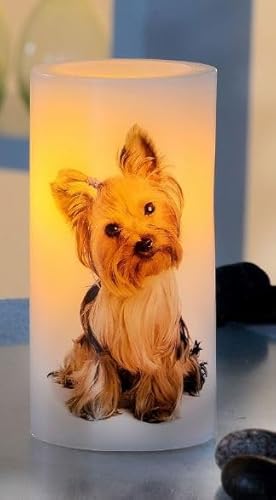 Dekorative LED-Kerzen im 2er-Set mit Welpenmotiv, Yorkshire Terrier, Golden Retriever, Beagle, flammenlos, batteriebetrieben. (Yorkie) von Luna24