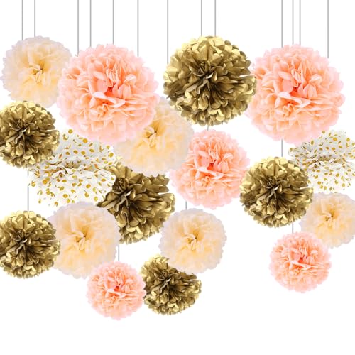 Pompons Deko, 20 Stück Seidenpapier Pompons Deko, Tissue Pom Poms, Seidenpapier-Pompons, Tissue Papier Pom Poms für Hochzeitsdeko, Geburtstag, Brautdusche, Verlobungsfeier von Lunyloer