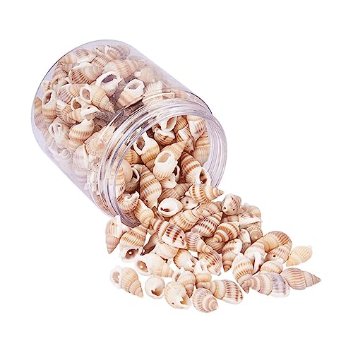 Lurrose 1 Schachtel Diy Natürliche Deko für Strand und Hochzeitsfeiern Seashells für Aquarien Vasen und Bastelprojekte mit Vielseitigen Verwendungsmöglichkeiten Lurrose 1 Schachtel Diy Natürliche Deko für Strand und Hochzeitsfeiern Seashells für Aquarien Vasen und Bastelprojekte mit Vielseitigen Verwendungsmöglichkeiten von Lurrose