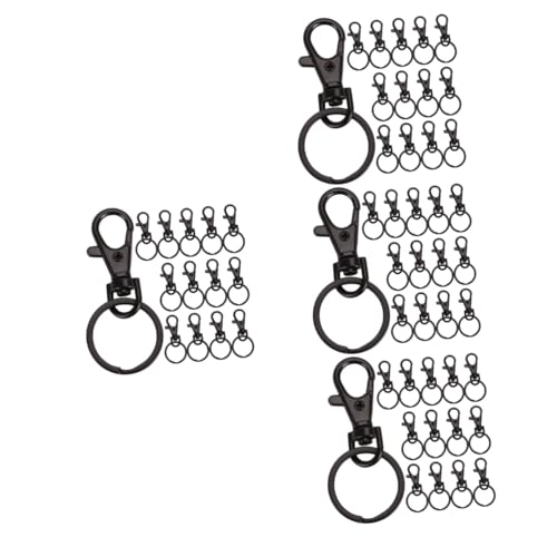 Lurrose 60 Stk Karabiner Schlüsselanhänger bastelbedarf carabiner hook Schlüsselbundklammern und -ringe Schlüsselringe für Schlüsselanhänger kleine Schlüsselanhänger Schlüsselanhängerhaken von Lurrose