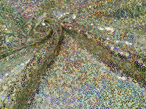 3 mm Pailletten-Stoff, 2-Wege-Stretch-Fischschuppen, mehrfarbig, Material für Karneval, Basteln – 130 cm breit (1 Meter, Hologramm-Silber) von LushFabric